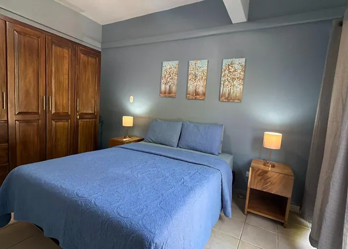 Newly Renovated One-bedroom, One-bath Ground Unit Coco
